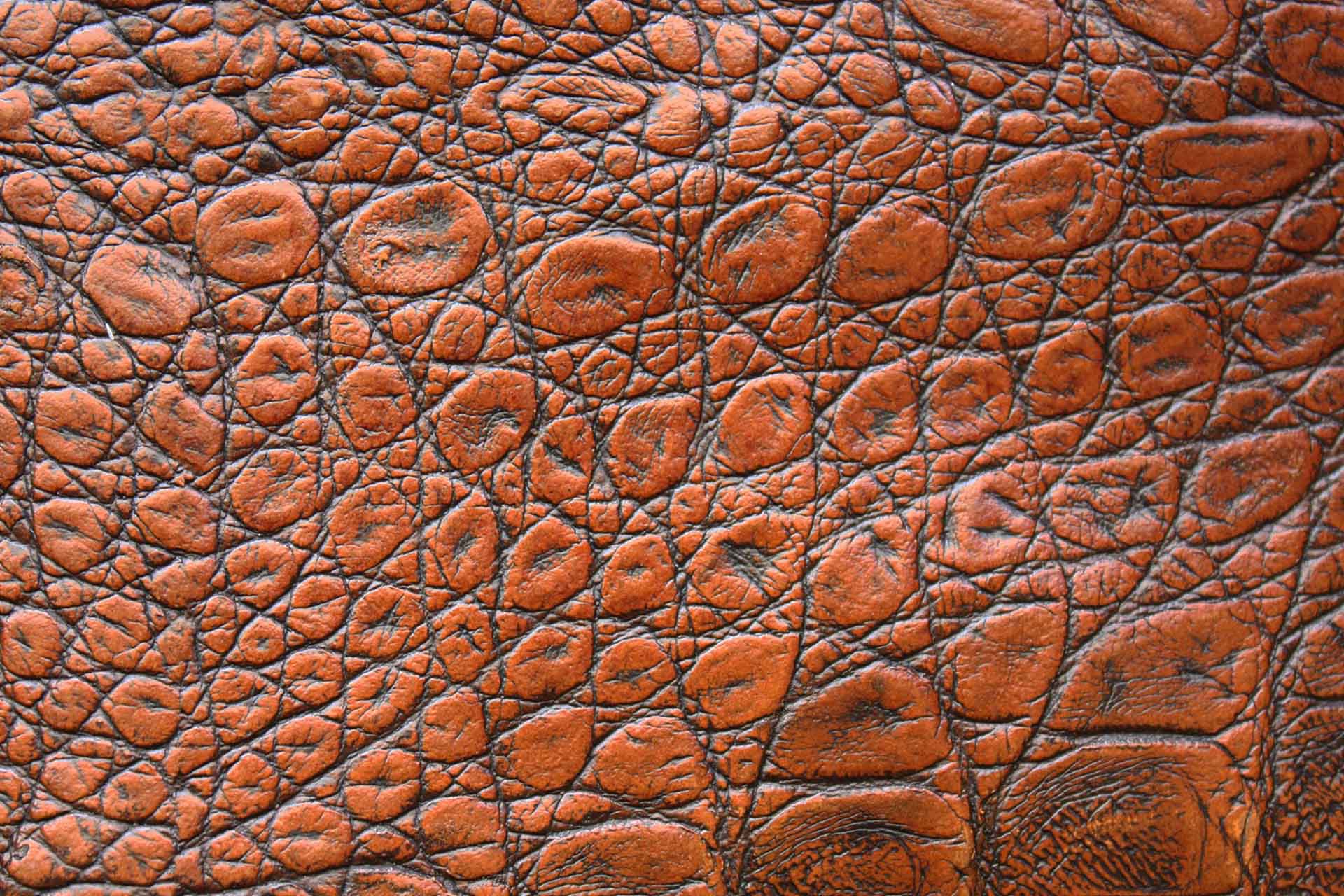 leder_reinigung_st_gallen Lederrinigung